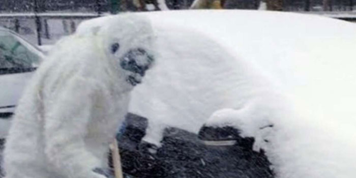 Boston Yeti Bigfoot sightings