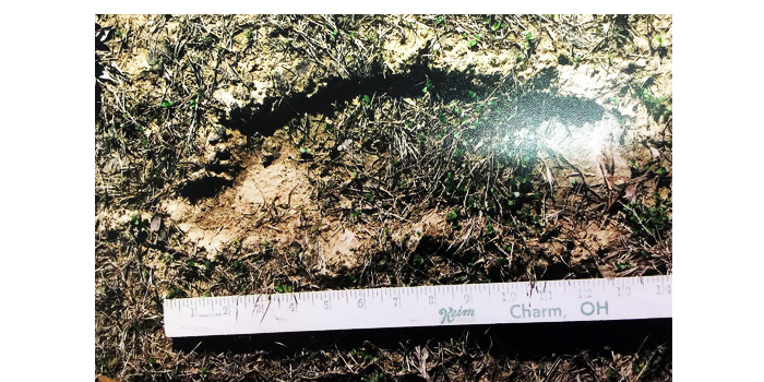 ozark bigfoot evidence footprint