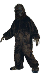 Big Toggle's Bigfoot Costume on PS4 — price history, screenshots, discounts  • România