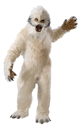 Yeti Kids Costume 